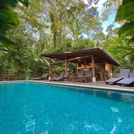 Satta Lodge (Adults Only) Puerto Viejo de Talamanca ภายนอก รูปภาพ