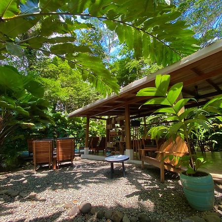 Satta Lodge (Adults Only) Puerto Viejo de Talamanca ภายนอก รูปภาพ