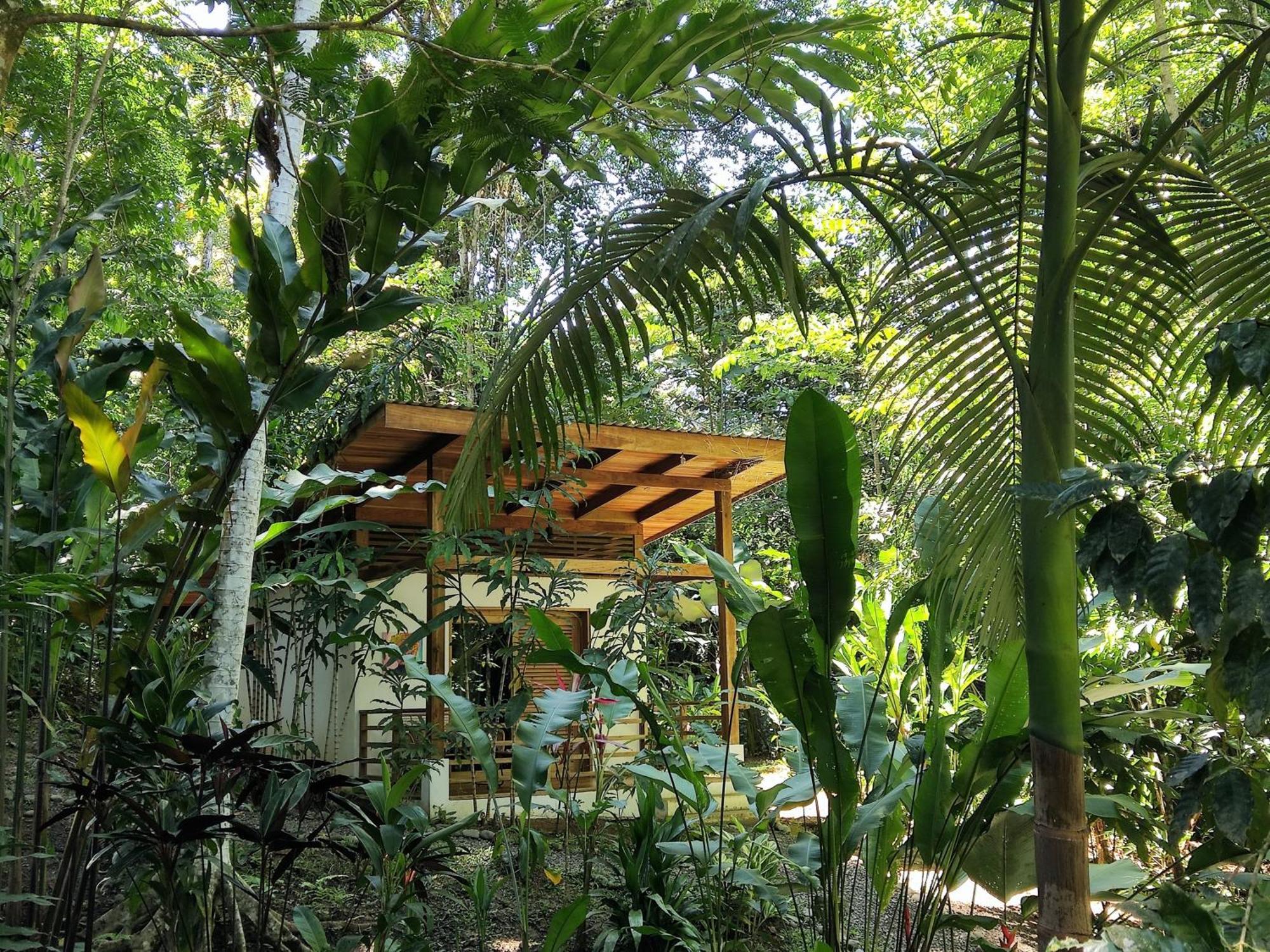 Satta Lodge (Adults Only) Puerto Viejo de Talamanca ห้อง รูปภาพ