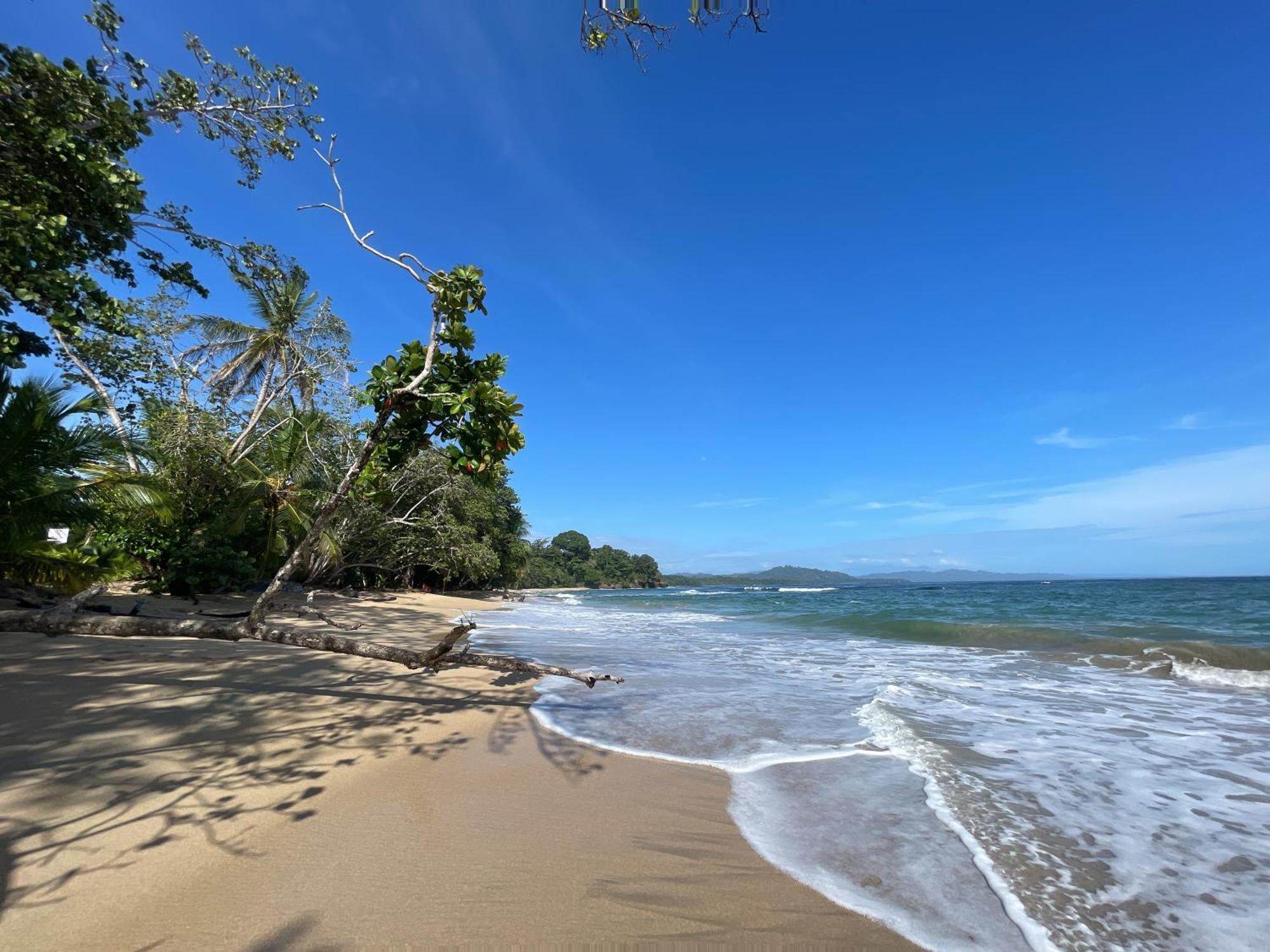 Satta Lodge (Adults Only) Puerto Viejo de Talamanca ภายนอก รูปภาพ