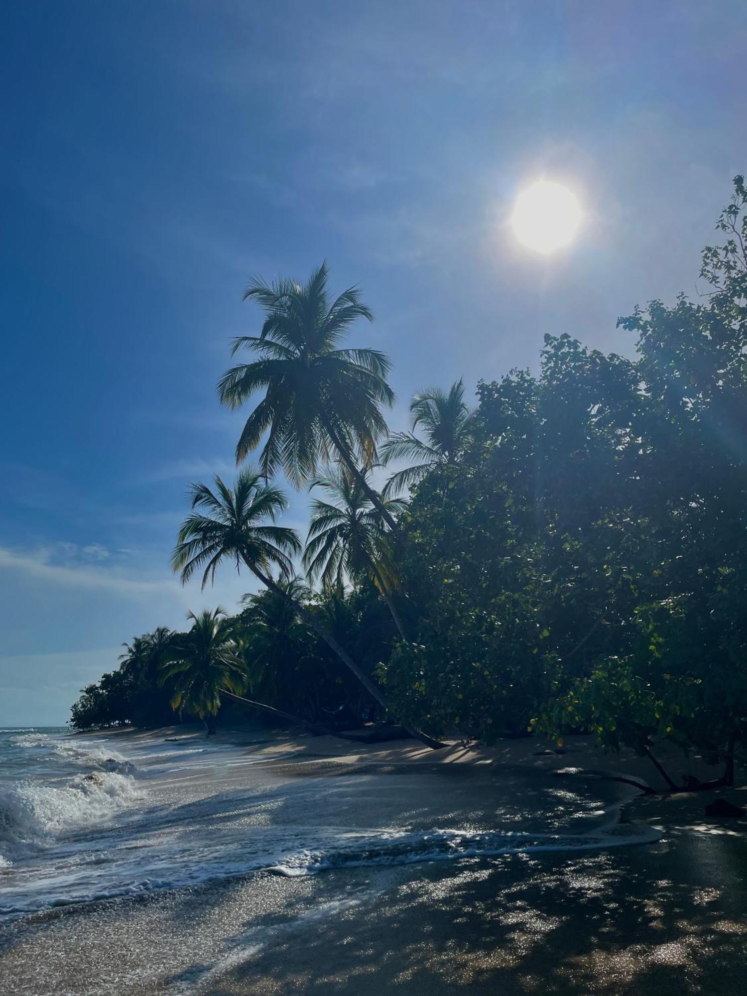 Satta Lodge (Adults Only) Puerto Viejo de Talamanca ภายนอก รูปภาพ