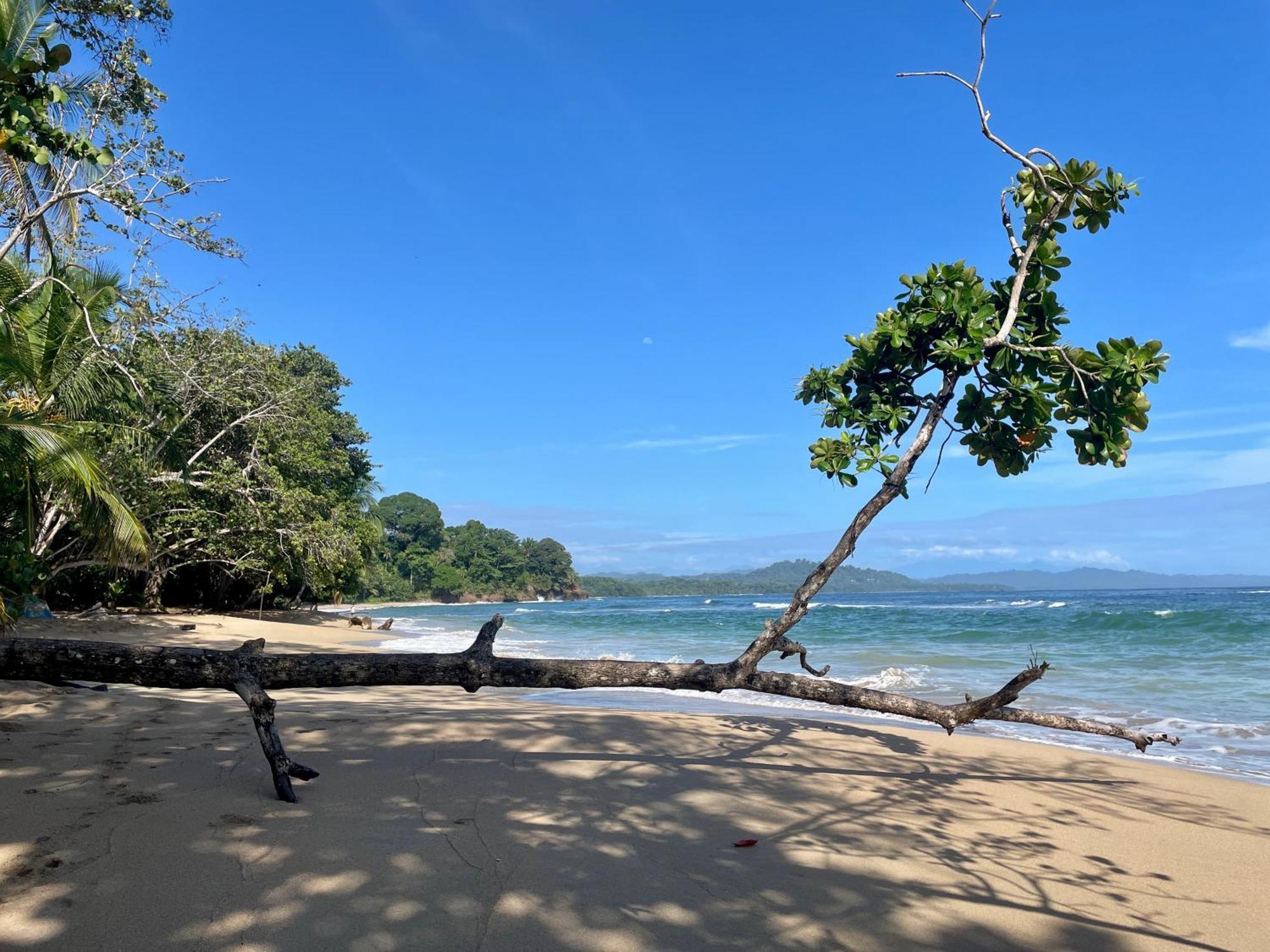 Satta Lodge (Adults Only) Puerto Viejo de Talamanca ภายนอก รูปภาพ