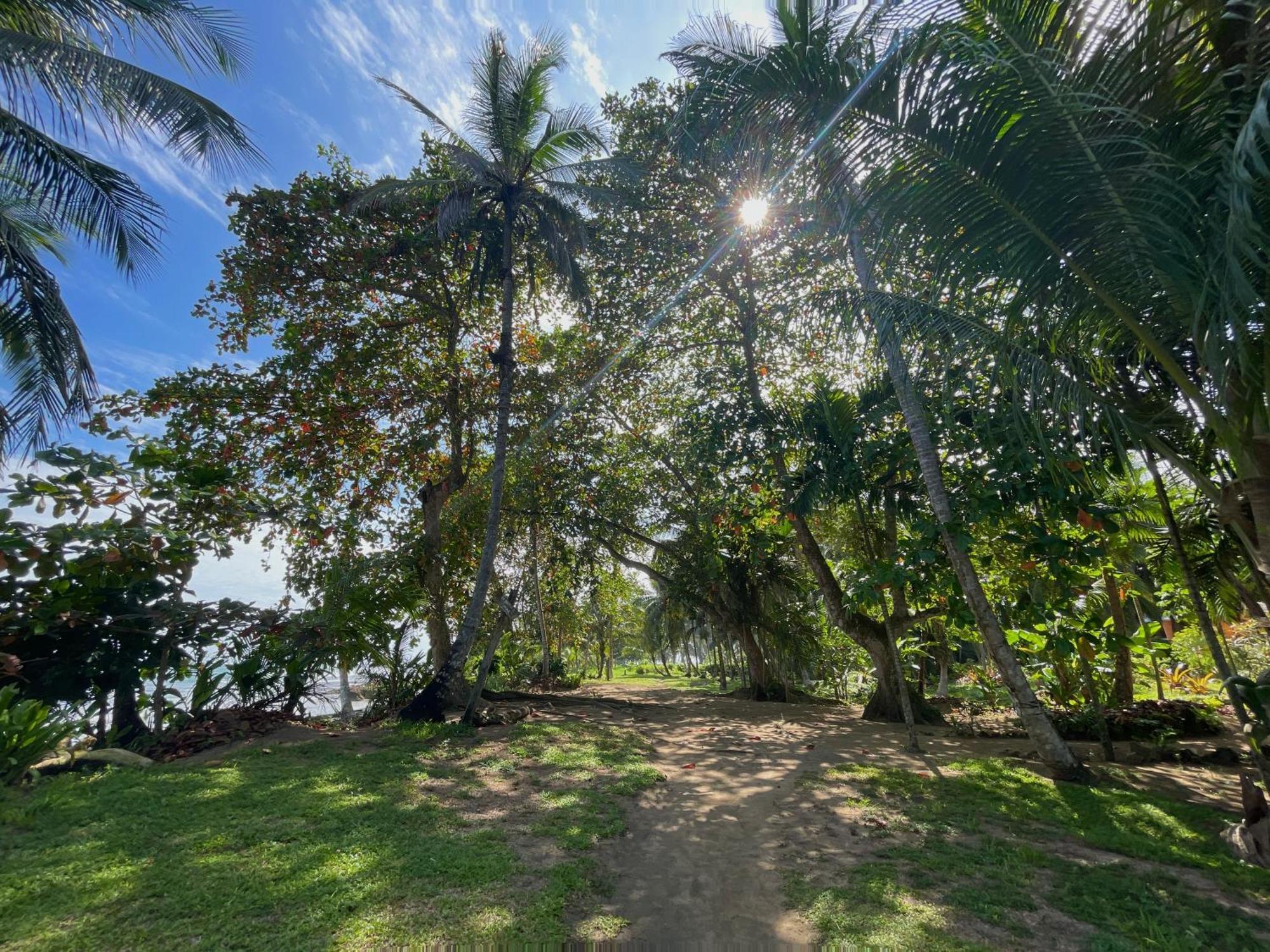 Satta Lodge (Adults Only) Puerto Viejo de Talamanca ภายนอก รูปภาพ