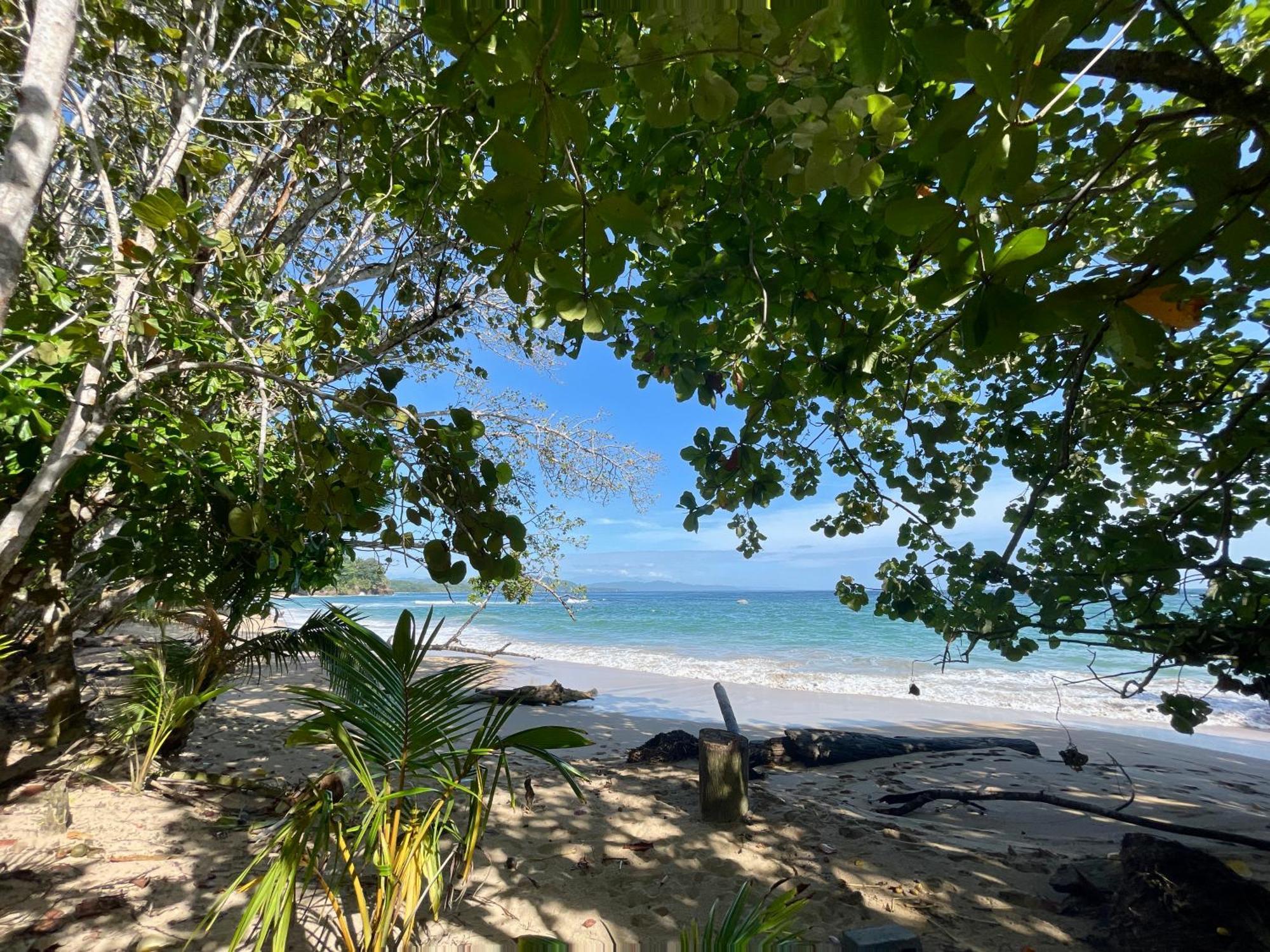 Satta Lodge (Adults Only) Puerto Viejo de Talamanca ภายนอก รูปภาพ
