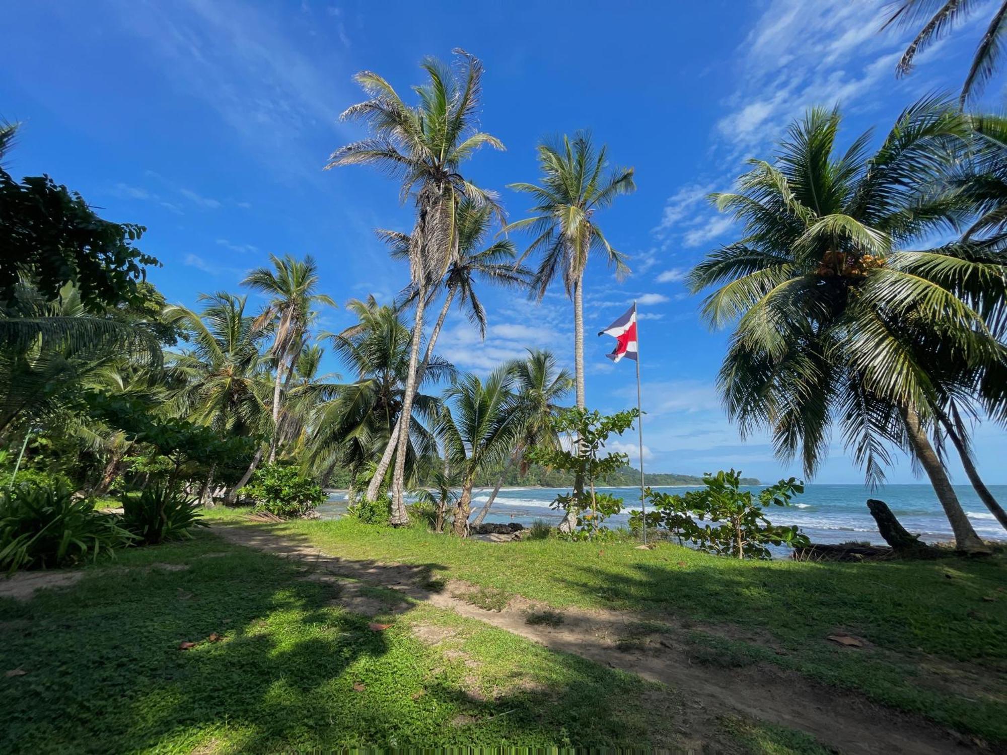 Satta Lodge (Adults Only) Puerto Viejo de Talamanca ภายนอก รูปภาพ