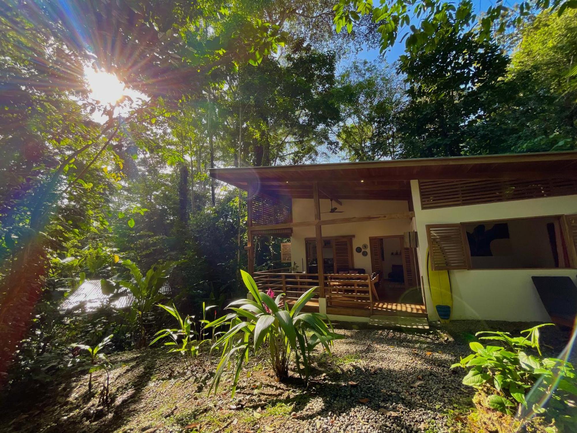 Satta Lodge (Adults Only) Puerto Viejo de Talamanca ภายนอก รูปภาพ