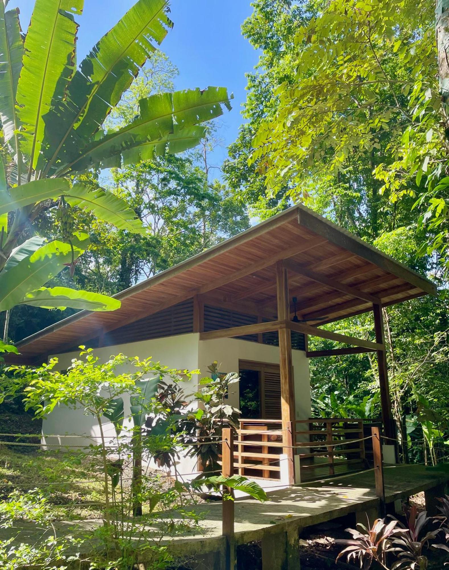 Satta Lodge (Adults Only) Puerto Viejo de Talamanca ภายนอก รูปภาพ