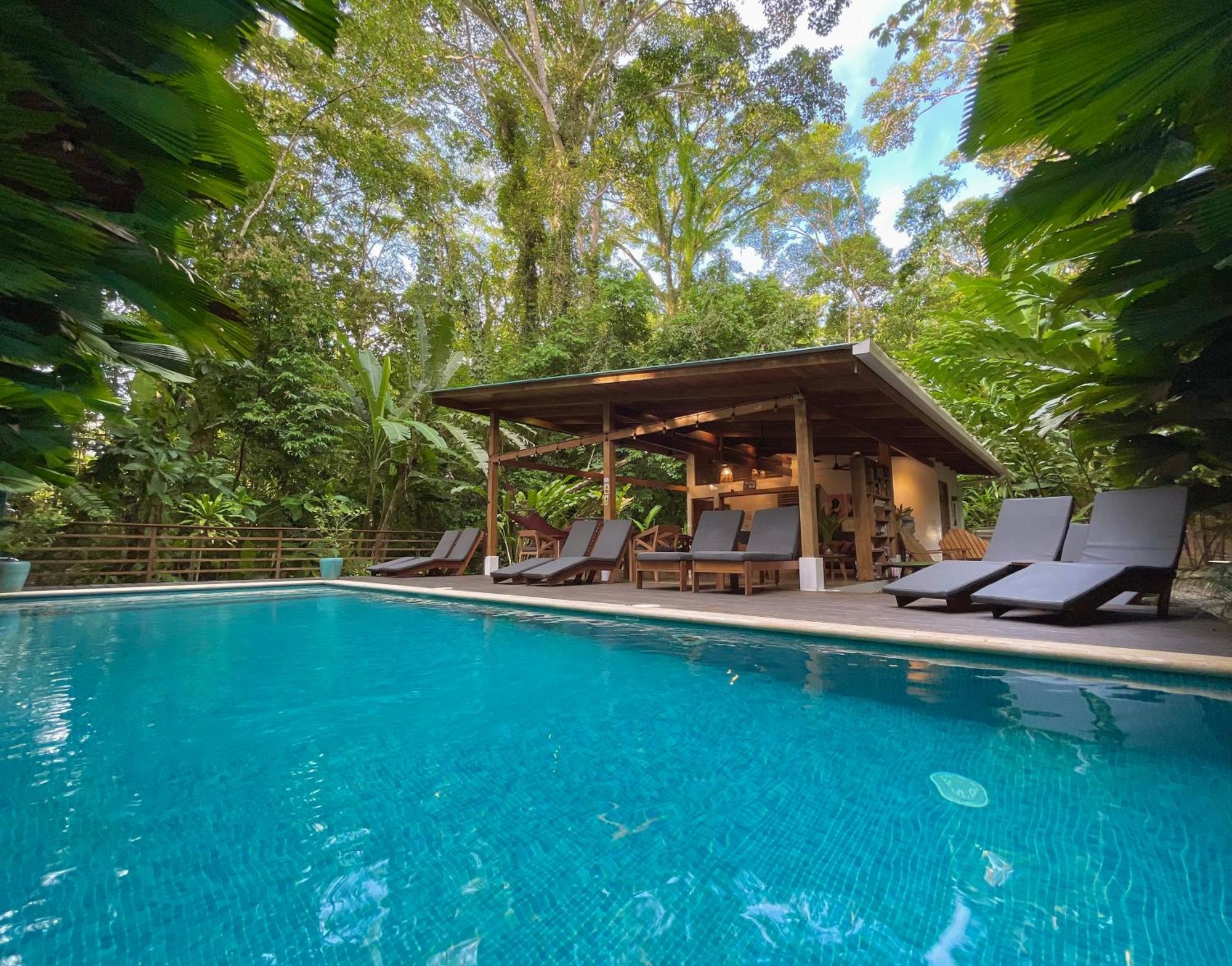 Satta Lodge (Adults Only) Puerto Viejo de Talamanca ภายนอก รูปภาพ