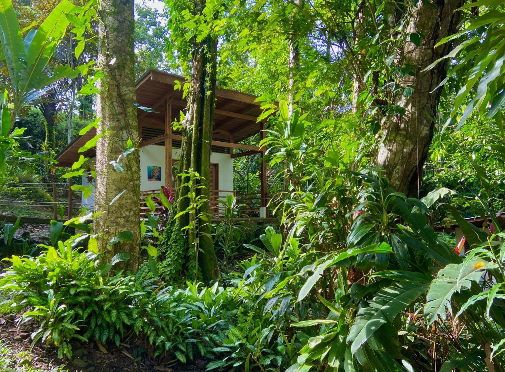 Satta Lodge (Adults Only) Puerto Viejo de Talamanca ภายนอก รูปภาพ