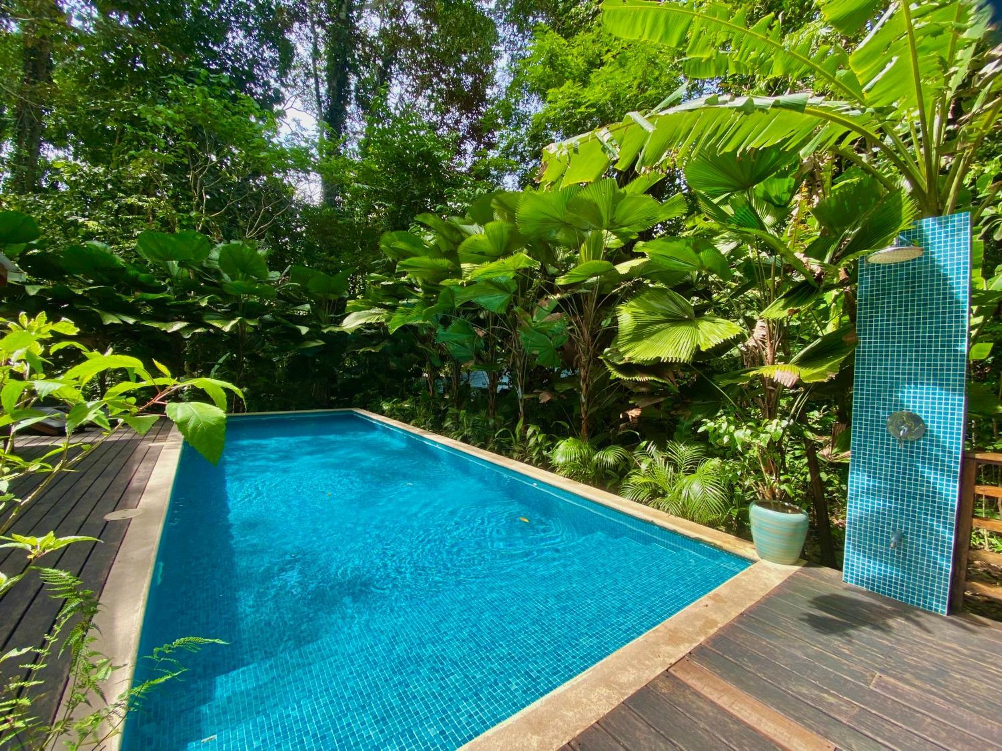 Satta Lodge (Adults Only) Puerto Viejo de Talamanca ภายนอก รูปภาพ